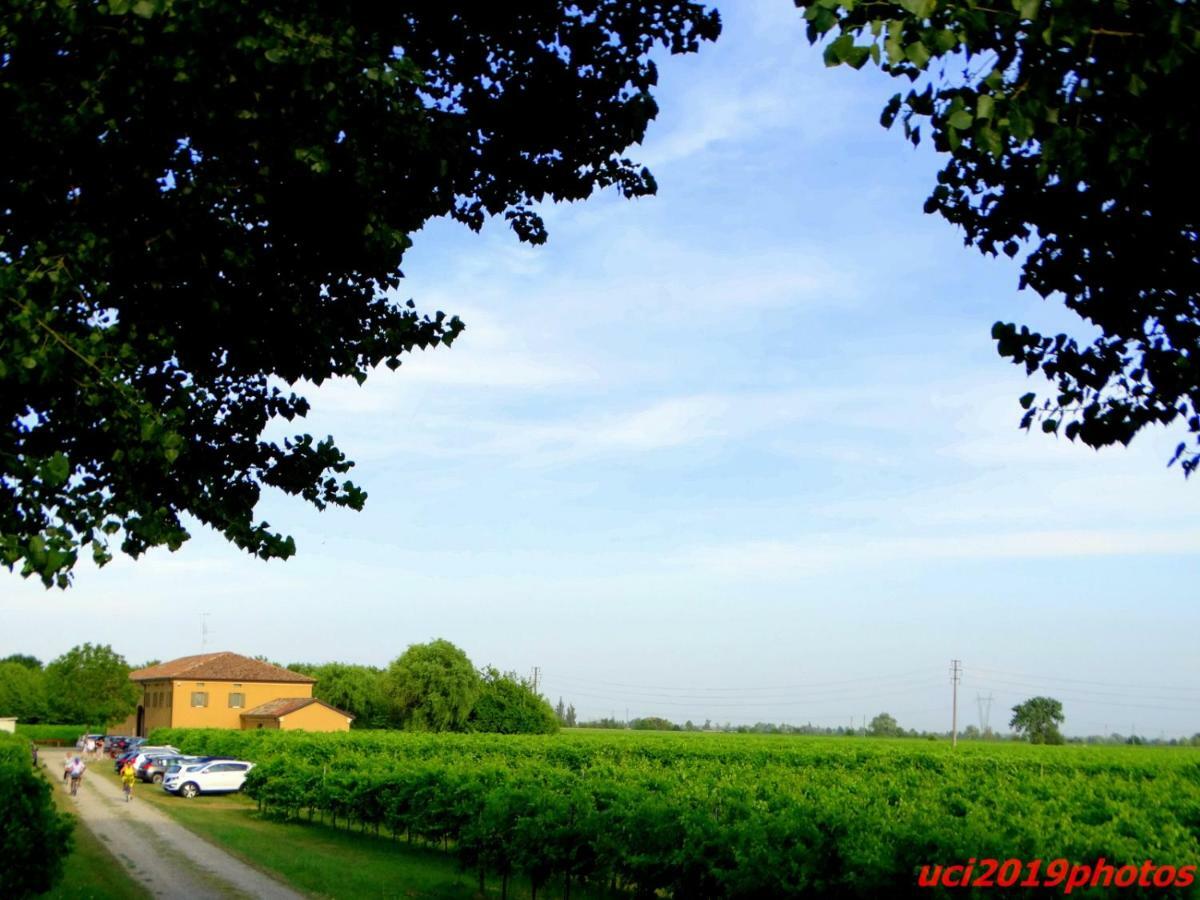 Agriturismo Vitae Fabbrico Exterior photo